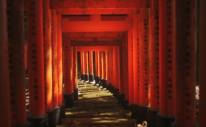 为了重现照片中的世界他制作了一款最逼真的摄影游戏(图2)