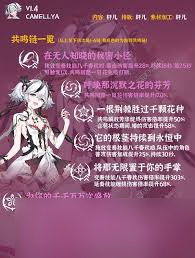 鸣潮椿队伍怎么搭配武器选择推荐