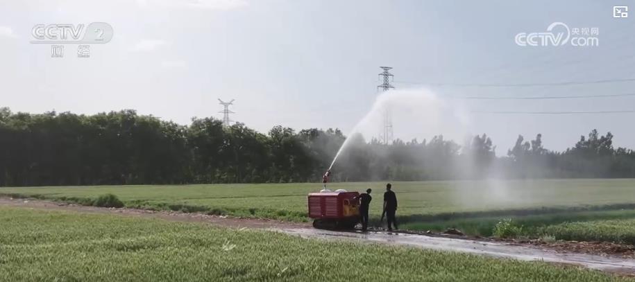 喷灌机器人让小麦喝上“解渴水” 科技抗旱助力夏粮丰产丰收