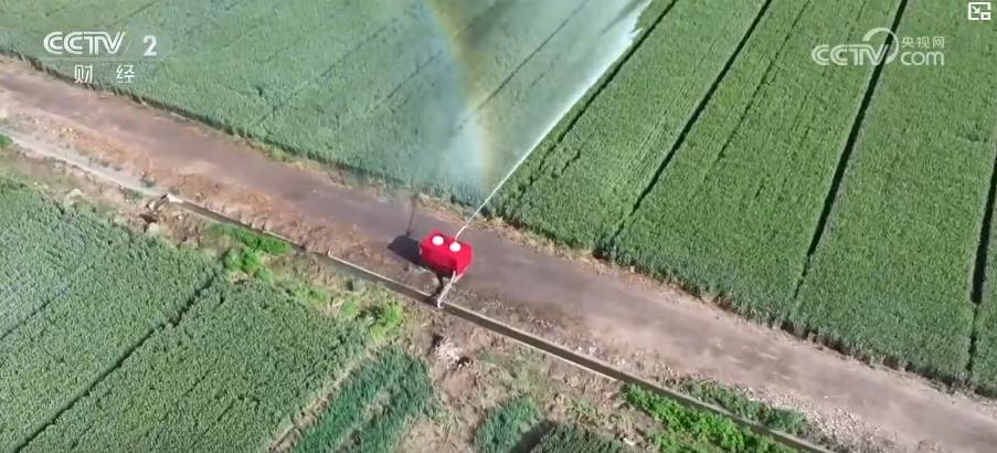 喷灌机器人让小麦喝上“解渴水” 科技抗旱助力夏粮丰产丰收(图2)