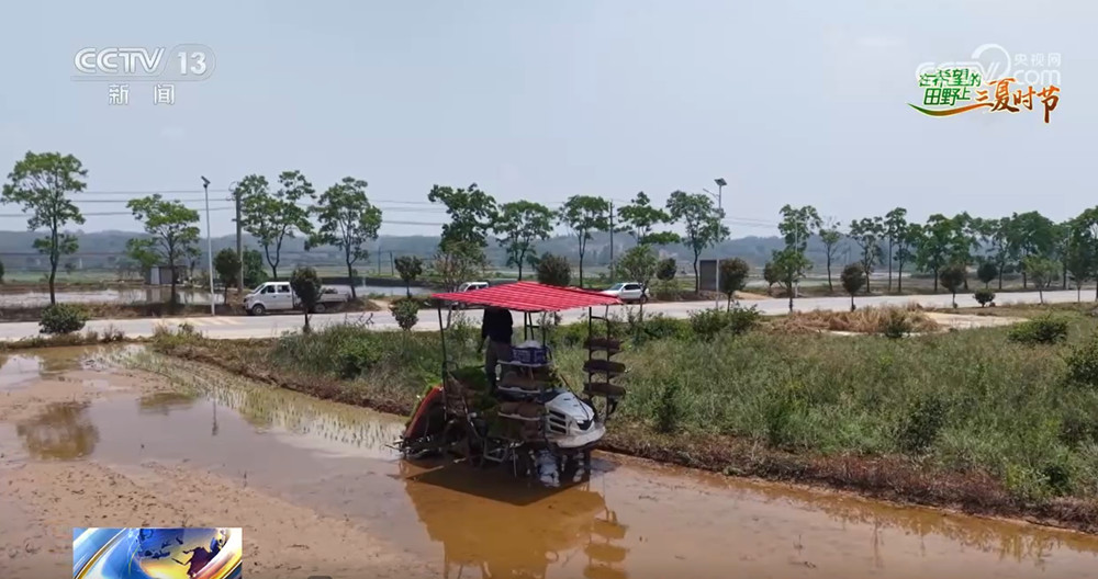 农技护航、智慧种田 “三夏”时节各地都在抢农时 忙耕种