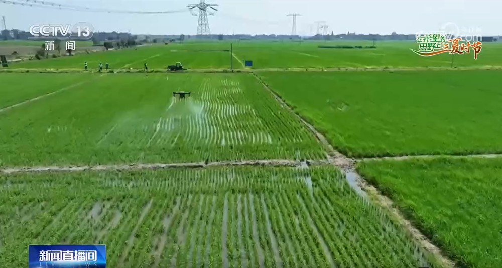 农技护航、智慧种田 “三夏”时节各地都在抢农时 忙耕种(图2)