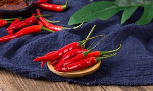 2024云游戏行业市场前瞻：云游戏将成为市场越来越重要的组成部分(图4)