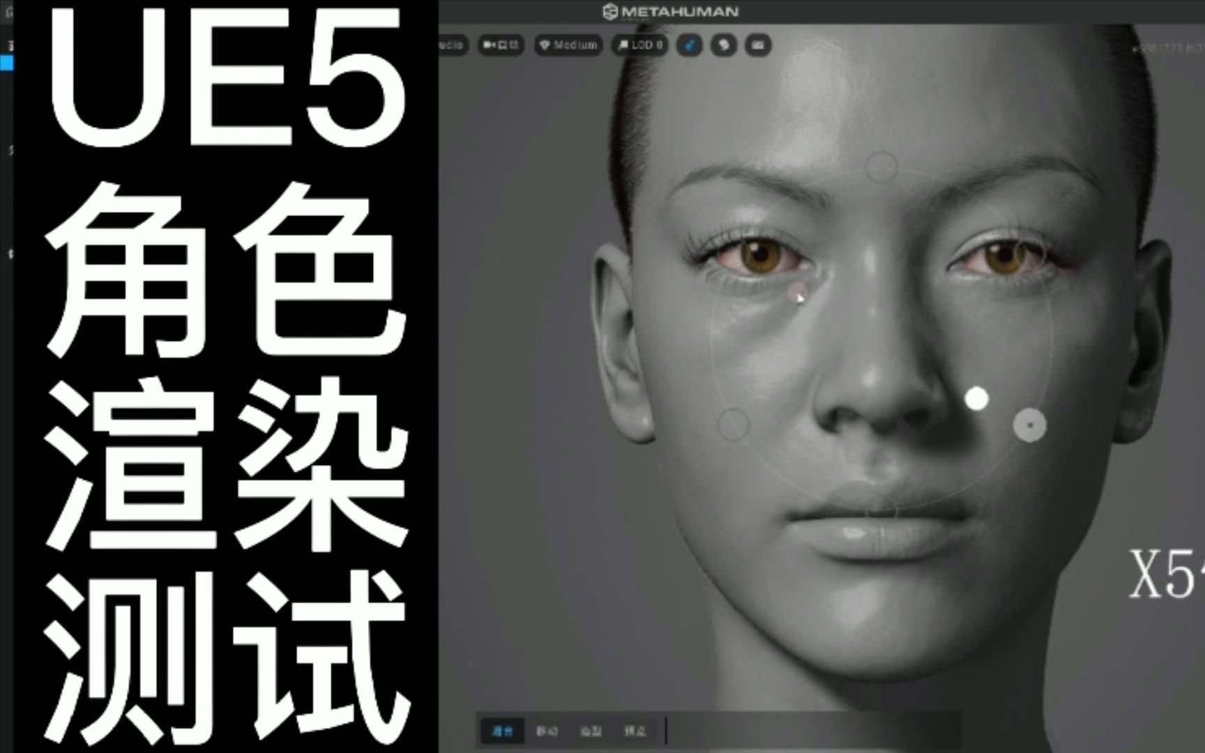 【图】女性骨骼结构大全骨骼分类分布让你大开眼界